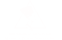 american-society-for-aesthetic-plastic-surgery